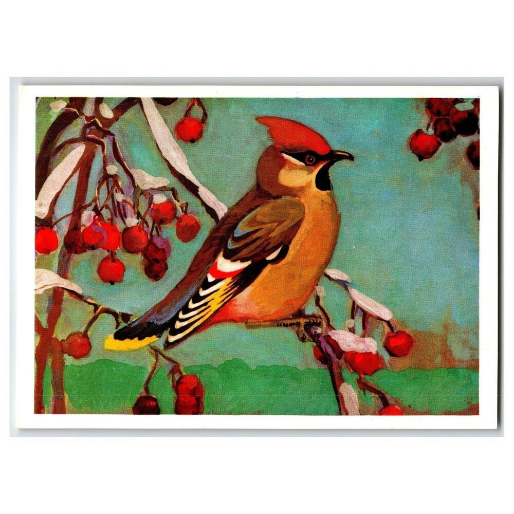 Vintage Russian Postcard Waxwing Bird & Berries Art Print USSR 1979 Nature